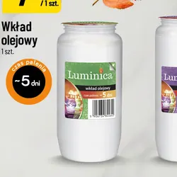 Wkład olejowy