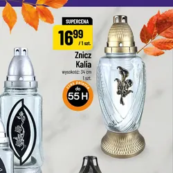 Znicz Kalia