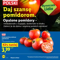Polskie pomidory malinowe niedoskonałe