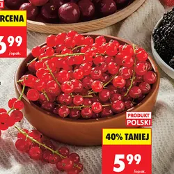 Porzeczka