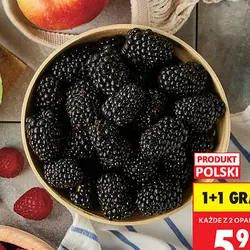 Jeżyna polska