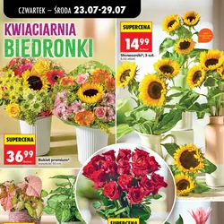 Słoneczniki