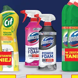 Spray Domestos Power Foam