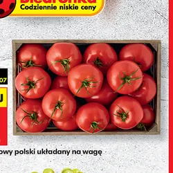 Pomidor malinowy polski