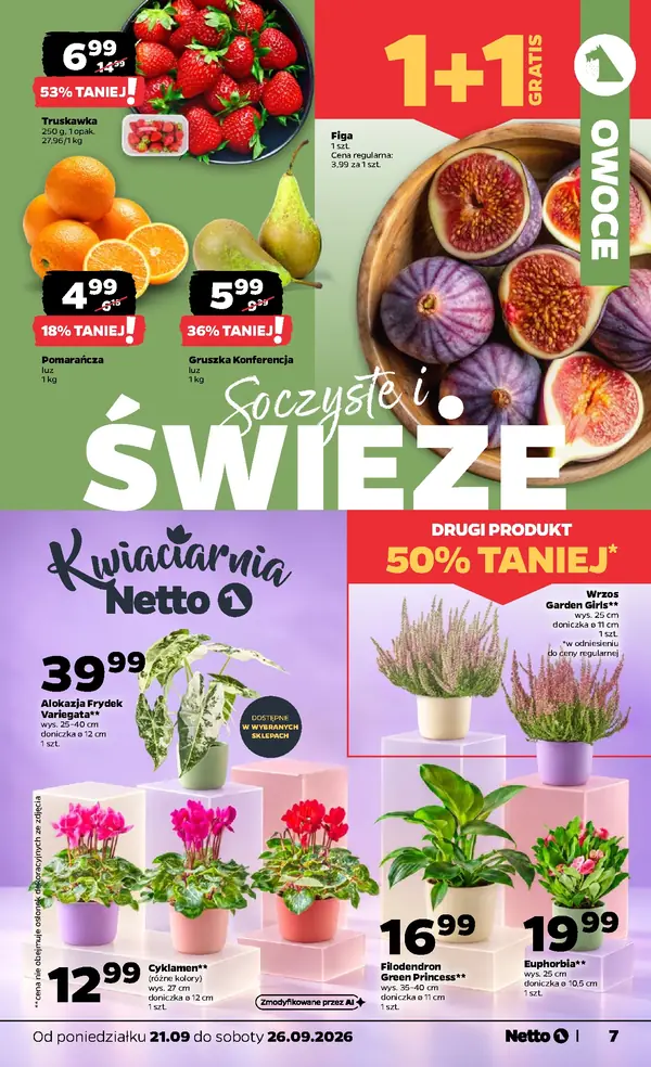 Strona 7 gazetki Netto