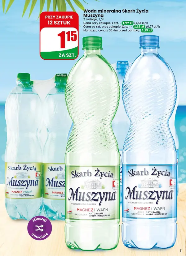 Strona 3 gazetki Dino