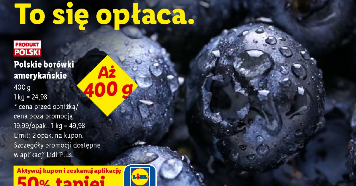 Polskie borówki za 9,99 zł! Lidl obniża cenę o połowę — biegnij do sklepu