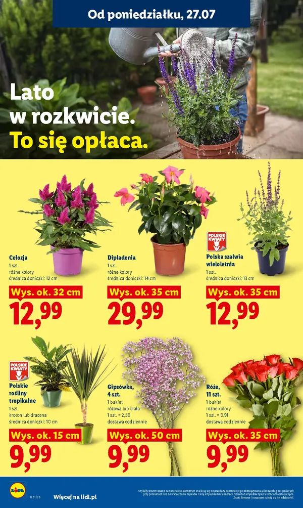 Strona 92 gazetki Lidl