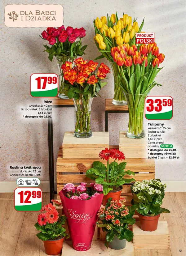 Strona 13 gazetki Dino