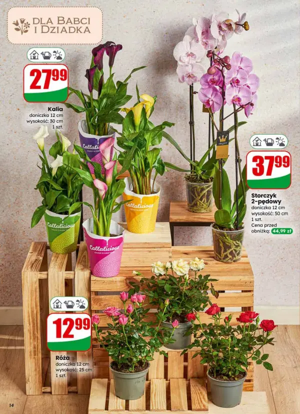 Strona 14 gazetki Dino