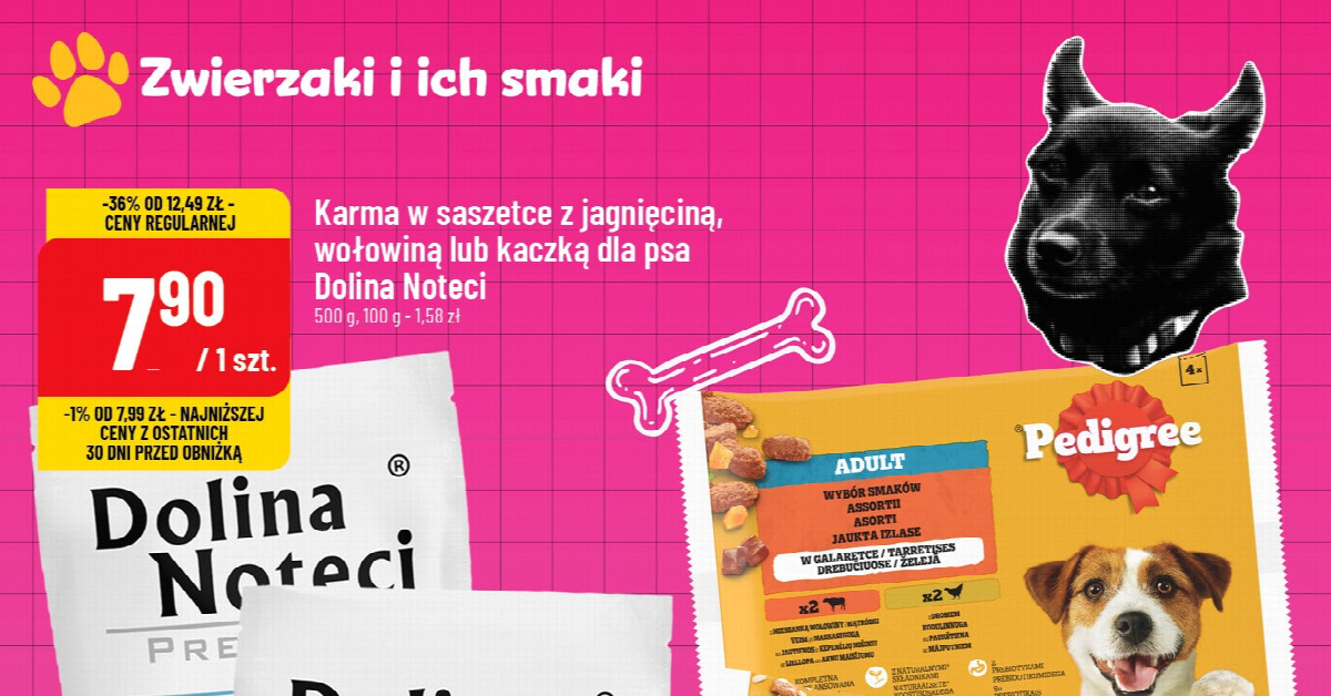 Najtańsza karma z wołowiną? Pedigree teraz tylko 5,99 zł — czy to najlepsza oferta miesiąca?