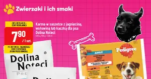 Najtańsza karma z wołowiną? Pedigree teraz tylko 5,99 zł — czy to najlepsza oferta miesiąca?