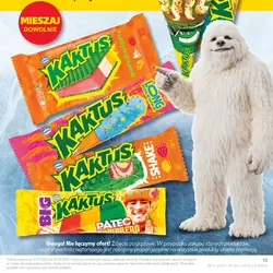 Wszystkie lody Kaktus do poj. 160 ml