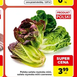 Polska sałata rzymska mini, sałata rzymska mini czerwona