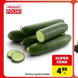 Polskie ogórki krótkie