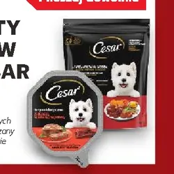 Cesar Karma dla psów