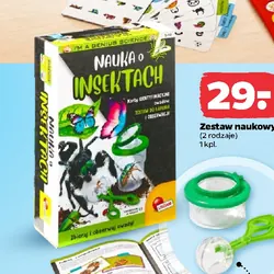 Zestaw naukowy Nauka o insektach
