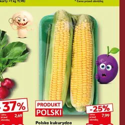 Polska kukurydza