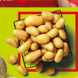 Polskie ziemniaki jadalne