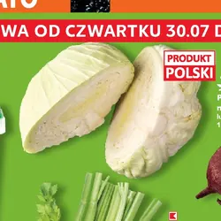 Polska kapusta na gołąbki