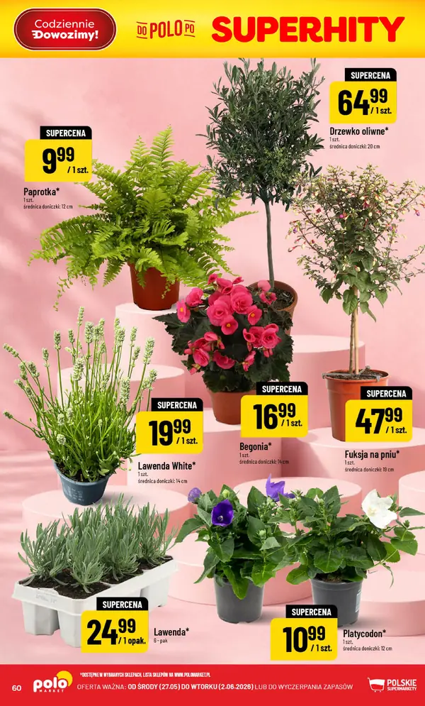 Strona 60 gazetki POLOmarket