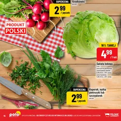 Rzodkiewki