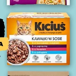 Karma dla kotów w saszetkach Kicius
