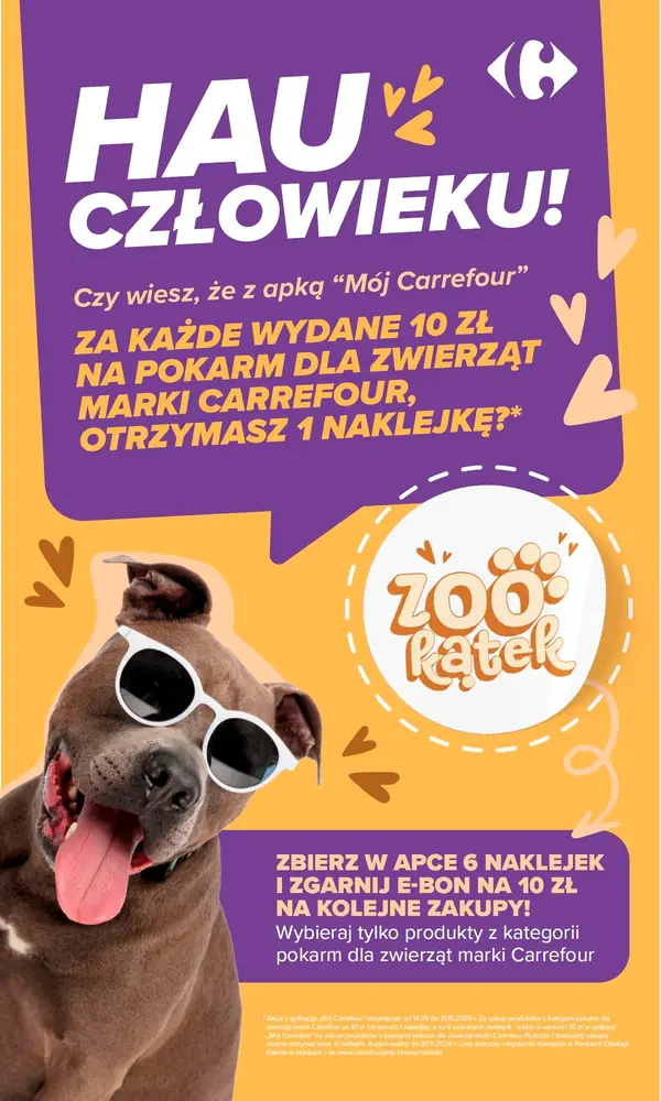 Strona 55 gazetki Carrefour