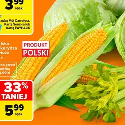 Polska kukurydza świeża