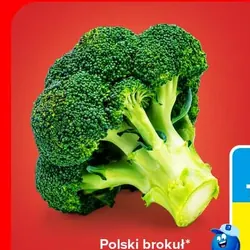 Polski brokuł