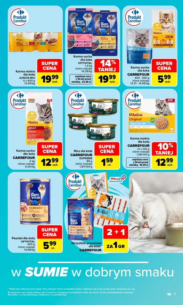 Strona 13 gazetki Carrefour