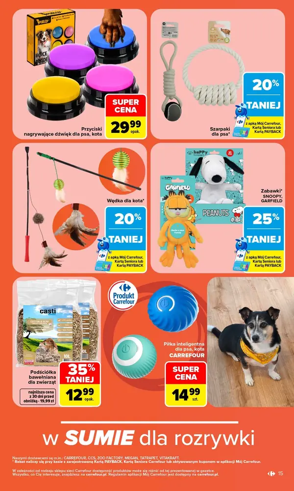 Strona 17 gazetki Carrefour