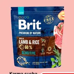 Karma sucha dla psa BRIT