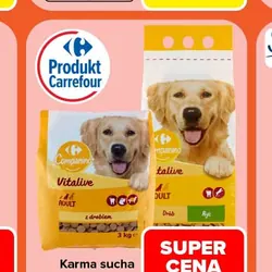 Karma sucha dla psa CARREFOUR