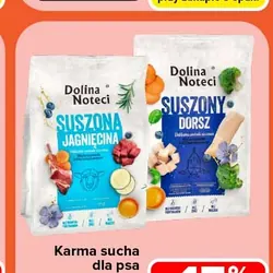 Karma sucha dla psa PREMIUM DOLINA NOTECI
