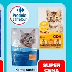 Karma sucha dla kota CARREFOUR