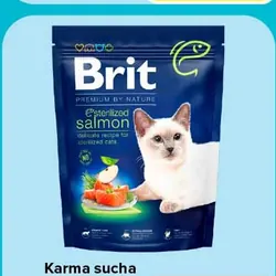 Karma sucha dla kota BRIT