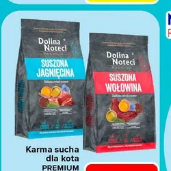Karma sucha dla kota PREMIUM DOLINA NOTECI