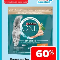 Karma sucha dla kota PURINA ONE
