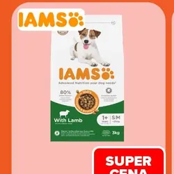 Karma sucha dla psa IAMS