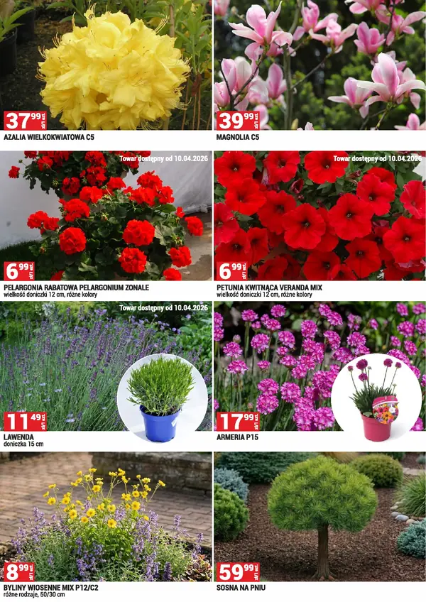 Strona 6 gazetki Mercury Market