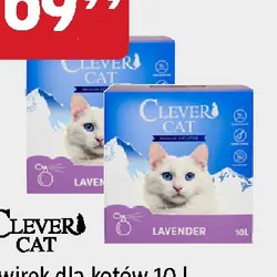 Żwirek dla kotów