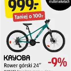 Rower górski 24"