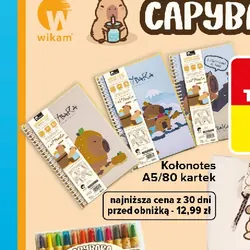 Kołonotes A5/80 kartek
