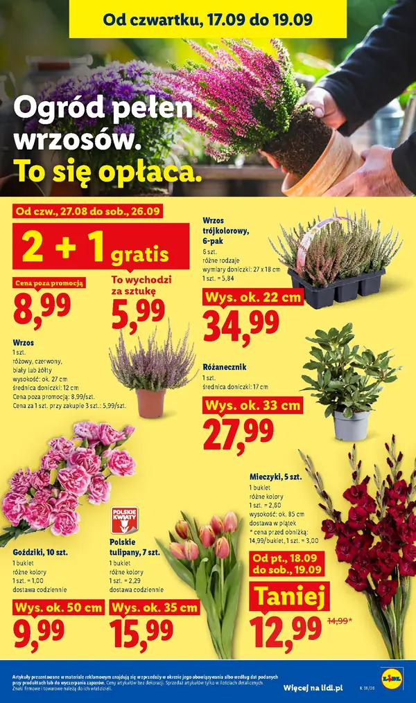 Strona 85 gazetki Lidl
