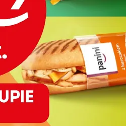 Panini