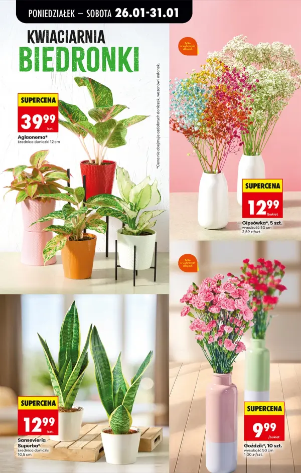 Strona 25 gazetki Biedronka