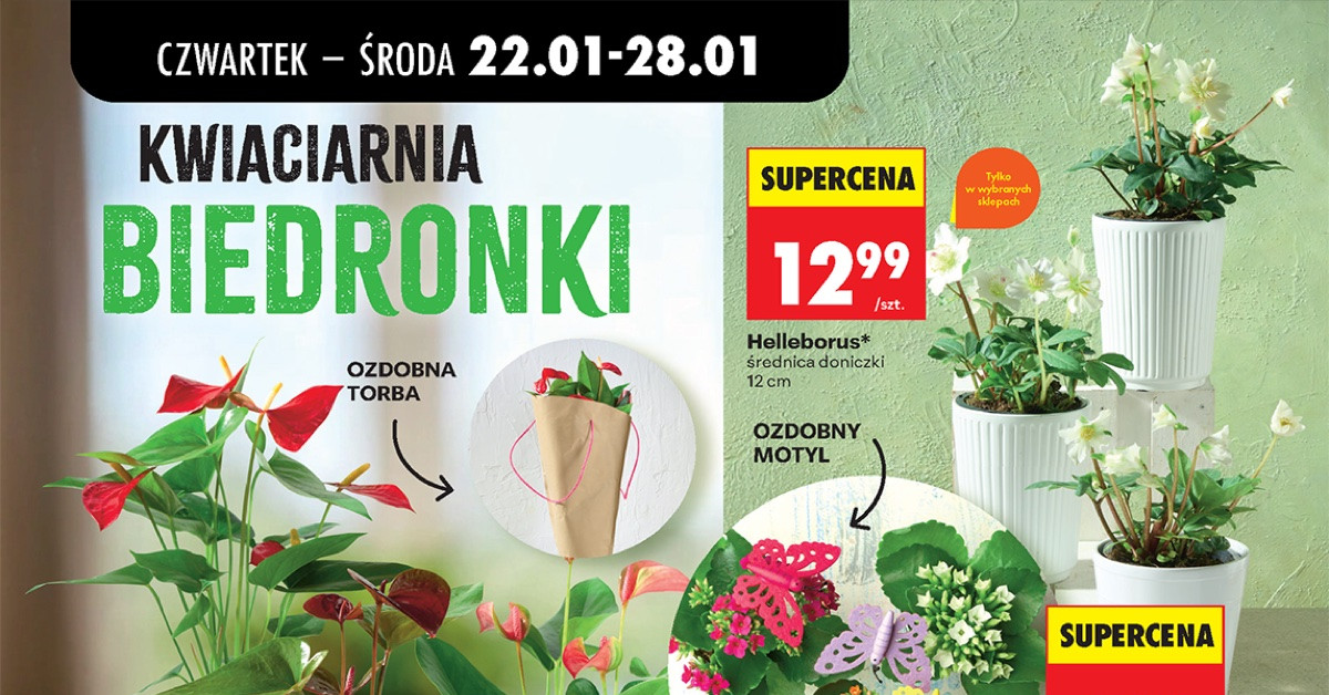 Nowa gazetka Biedronka (22.01–28.01): 10 hitów, które MUSISZ znać