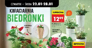 Nowa gazetka Biedronka (22.01–28.01): 10 hitów, które MUSISZ znać