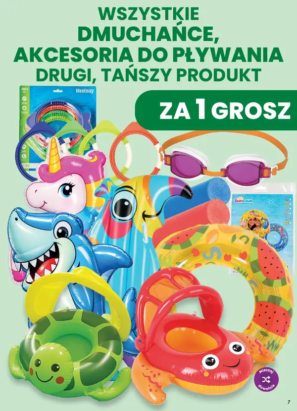 Strona 7 gazetki Dino